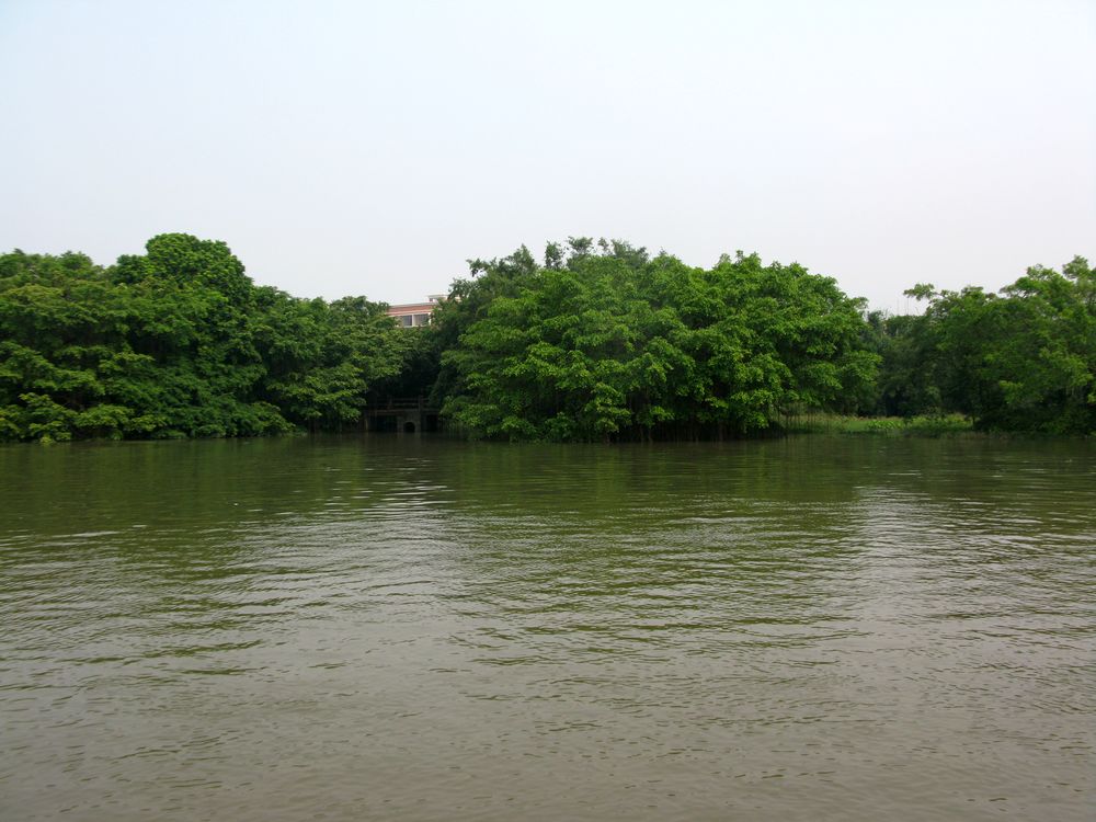 IMG_4321.jpg