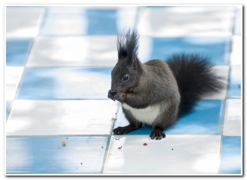 DSC_01491.jpg