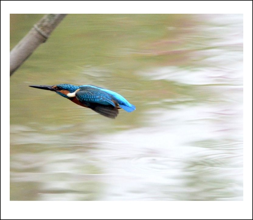 DSC_0861_conew1.jpg