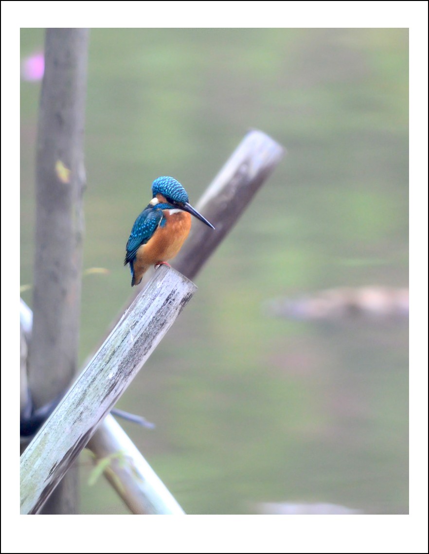 DSC_0836_conew1.jpg