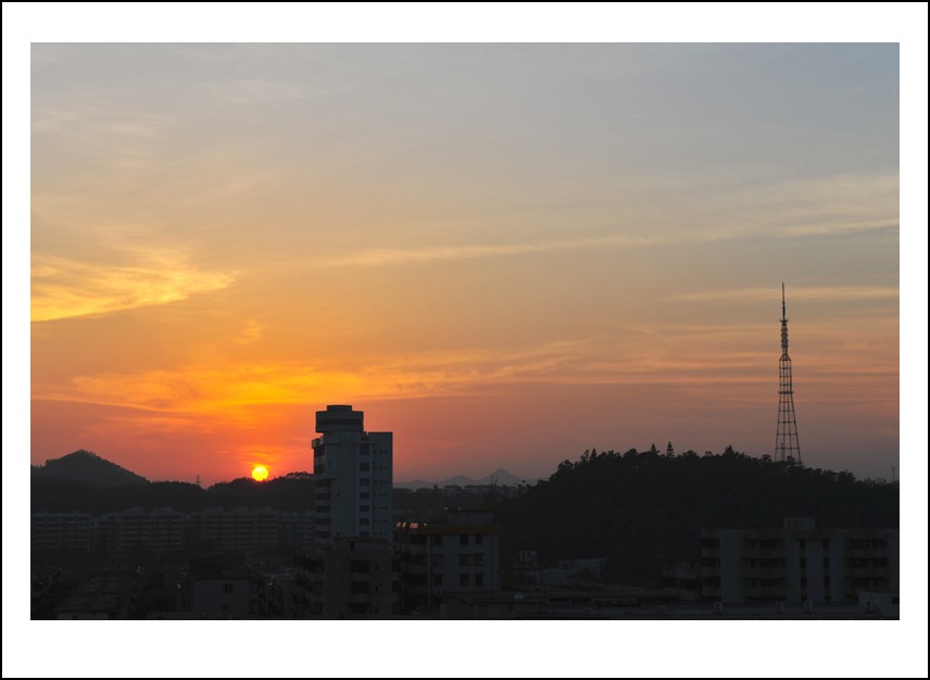 DSC_5377_conew1.jpg