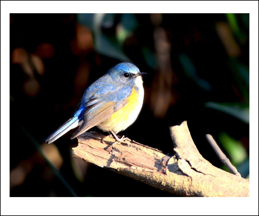 DSC_4118_conew1.jpg