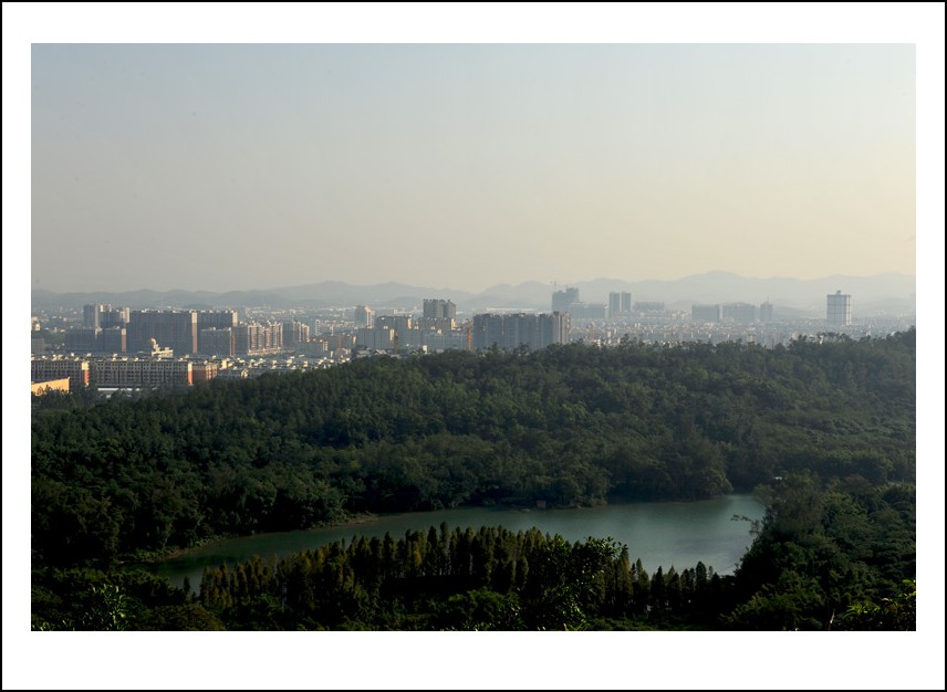 DSC_6008_conew1.jpg