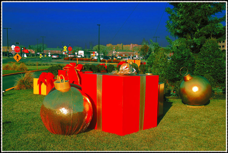 DSCN2331.jpg