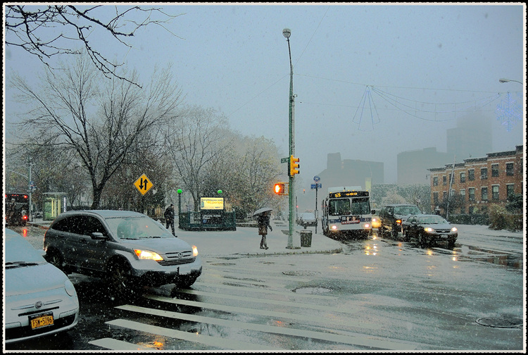 DSCN8747.jpg