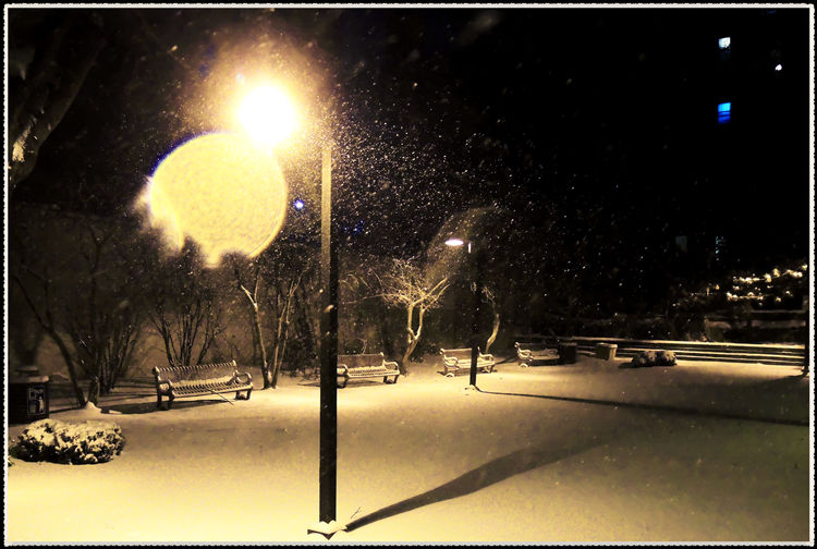 DSCN8801.jpg