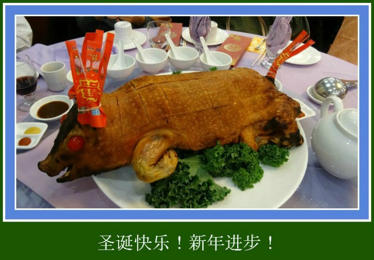 DSC02799.JPG