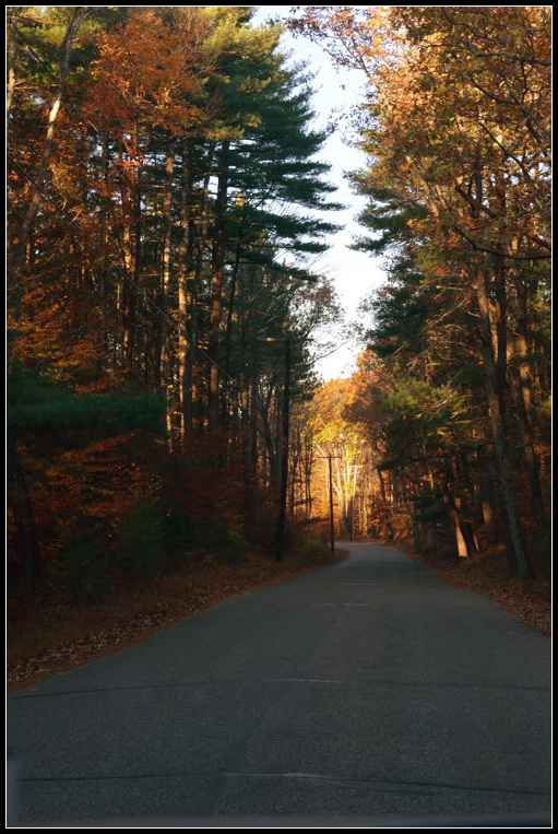 DSC_0978.jpg