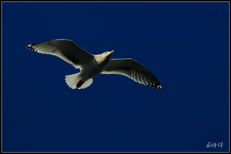 DSC_1120.jpg