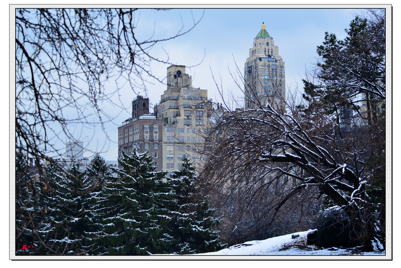DSC_7580.jpg