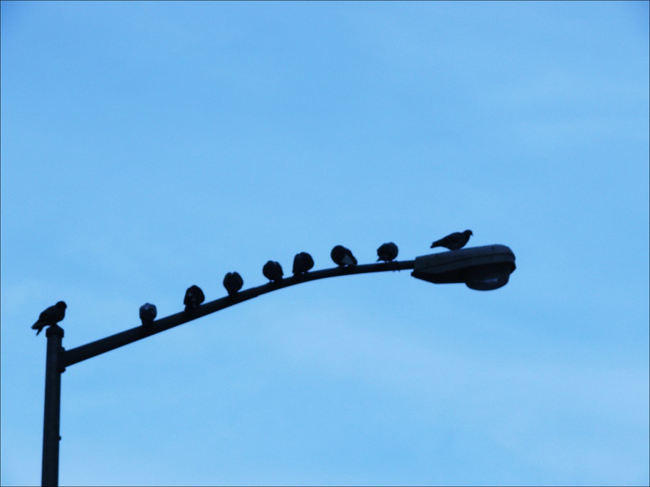 l1130687_conew1.jpg