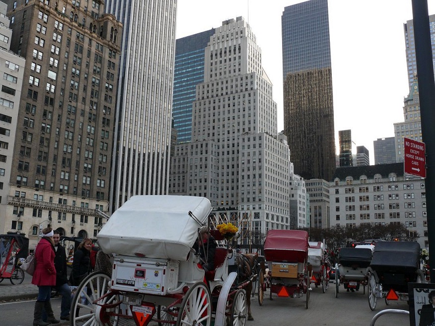 L1130739.JPG