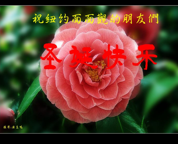 QQͼƬ201306110722380.jpg