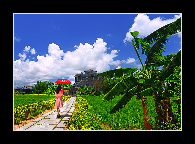 DSC_7197C.jpg