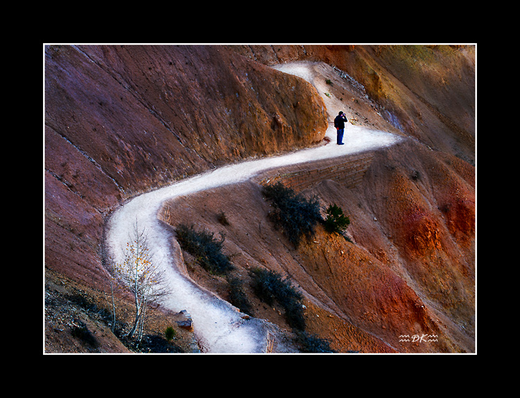 DSC_4118C1.jpg