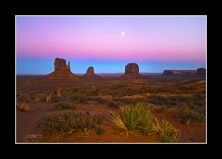 DSC_3238C1.jpg
