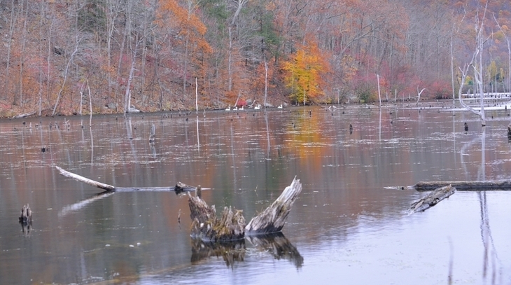DSC_4945.JPG