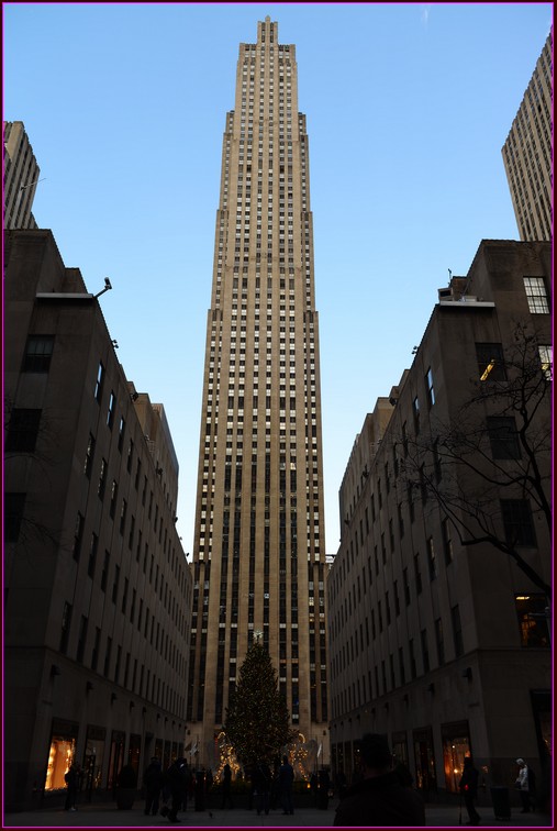 DSC_8371_1.jpg