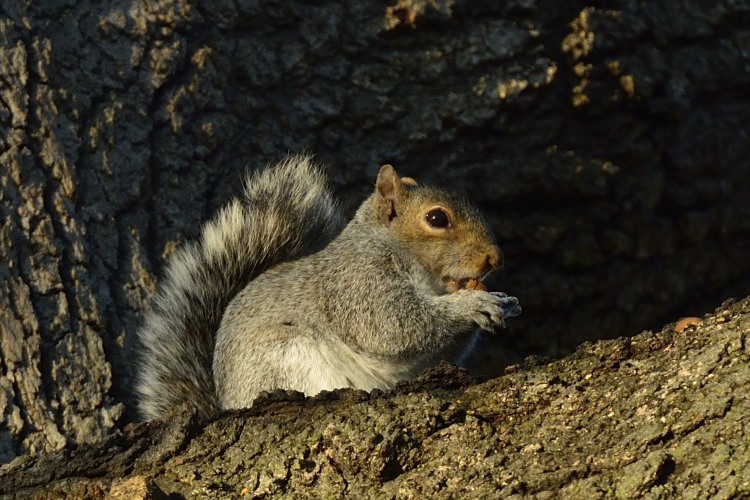 _DSC0405_01.JPG