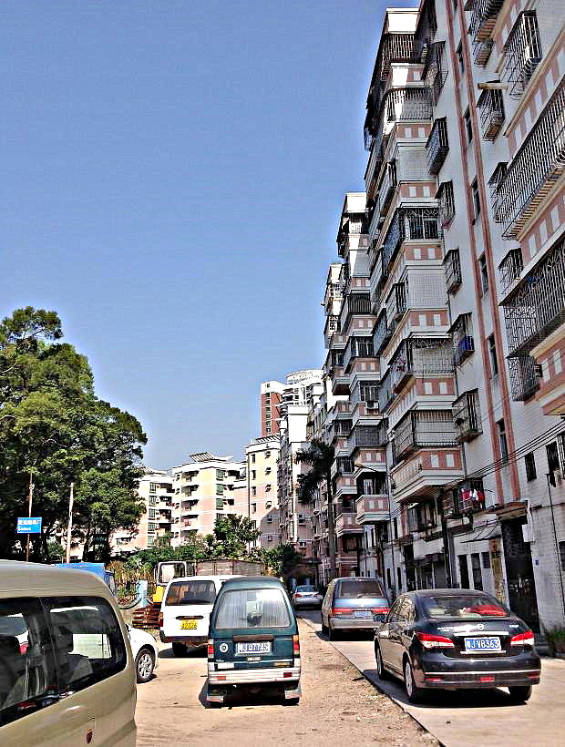 2013-11-29 2013-11-29 073.JPG