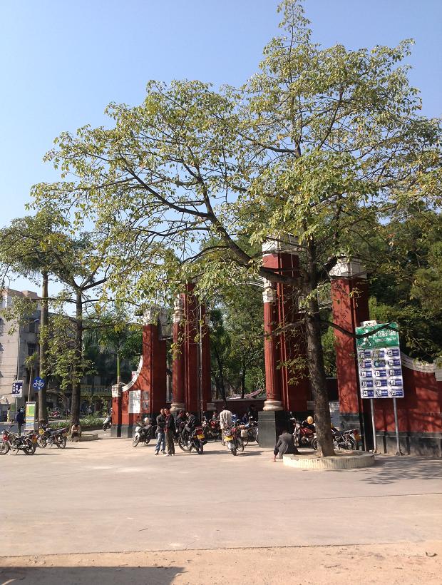 2013-11-29 2013-11-29 074.JPG