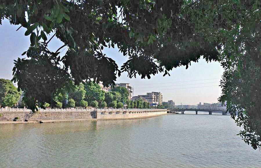 2013-11-29 2013-11-29 115.JPG