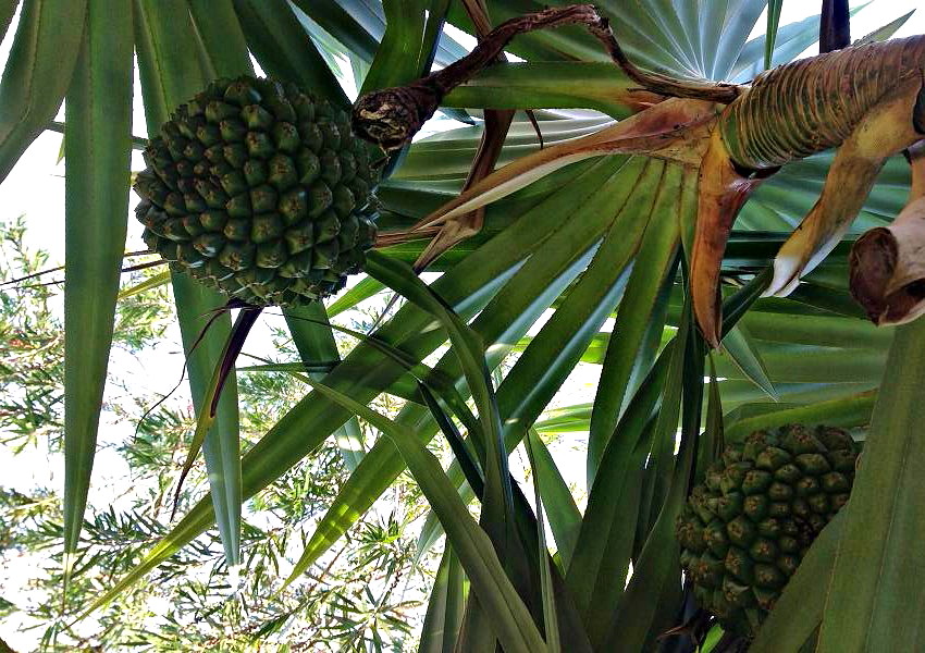 2013-11-30 ɽ 007.JPG