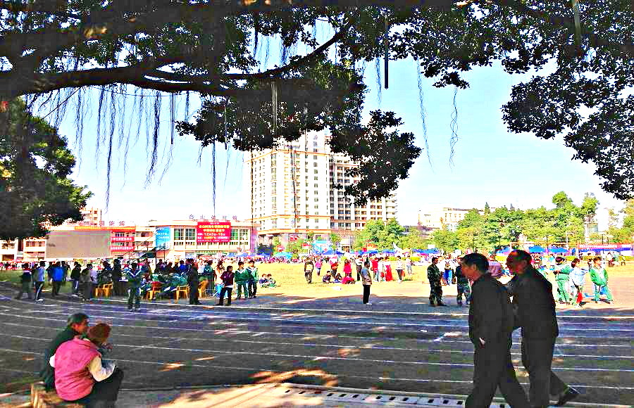 2013-11-29 2013-11-29 154.JPG