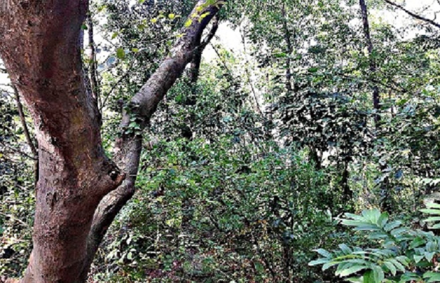 2013-11-29 2013-11-29 027.JPG