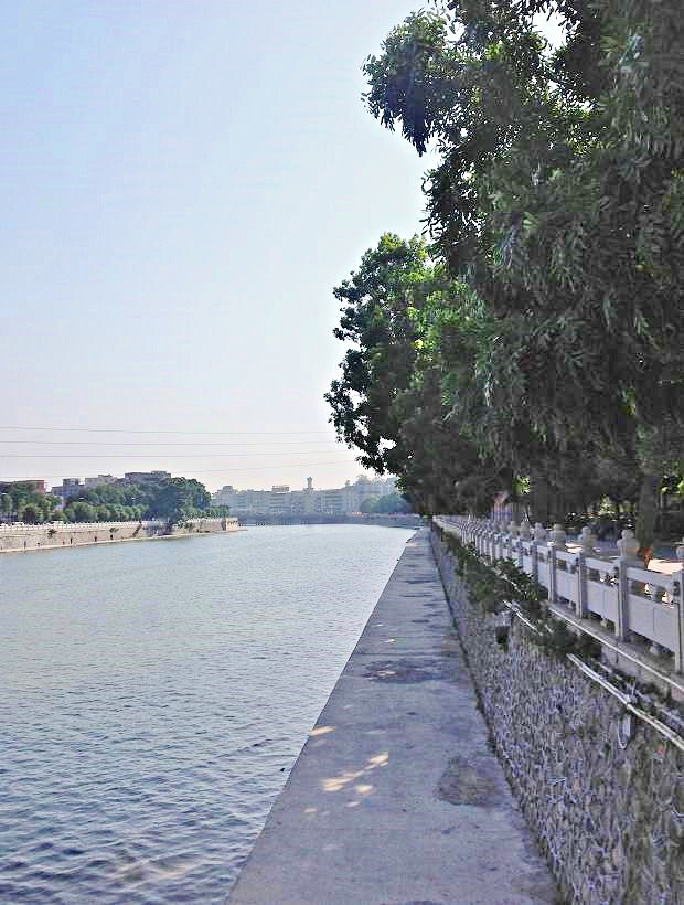 2013-11-29 2013-11-29 098.JPG