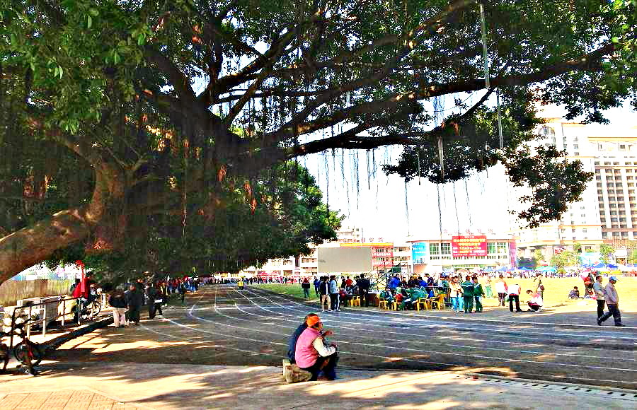 2013-11-29 2013-11-29 156.JPG