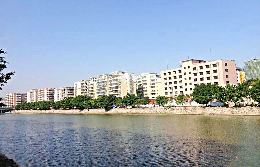 2013-11-29 2013-11-29 089.JPG