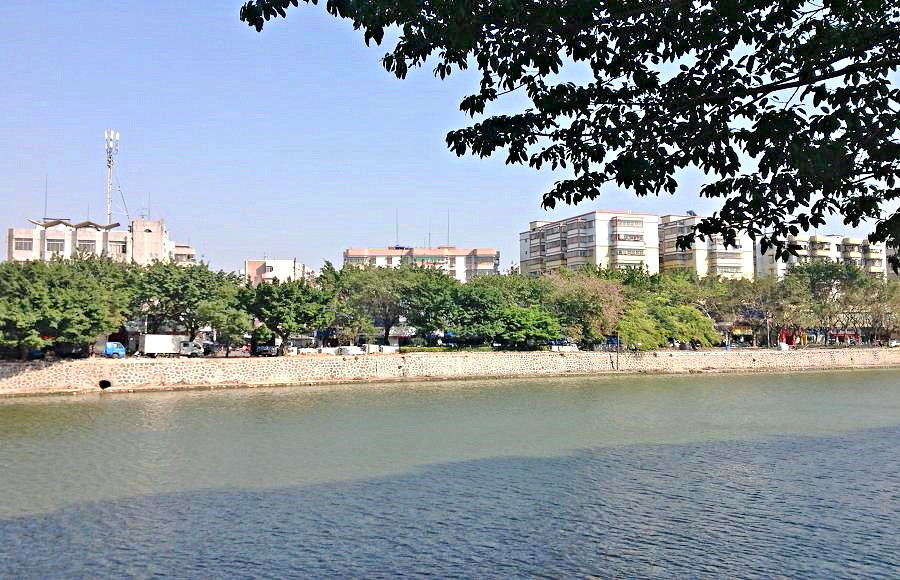 2013-11-29 2013-11-29 088.JPG