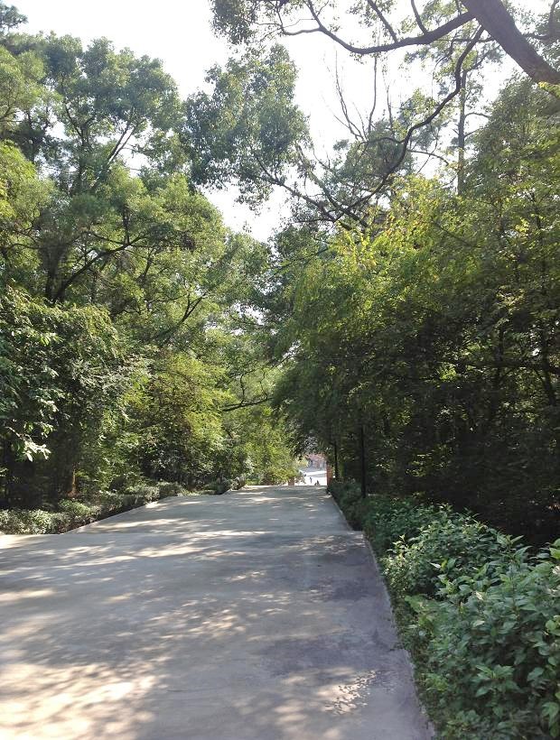 2013-11-29 2013-11-29 060.JPG