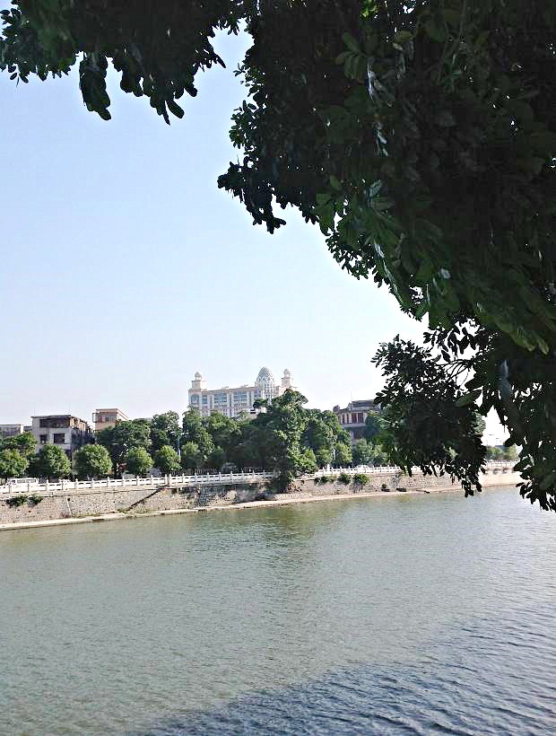 2013-11-29 2013-11-29 109.JPG