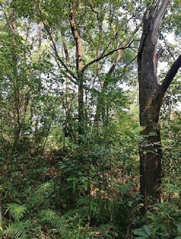 2013-11-29 2013-11-29 049.JPG