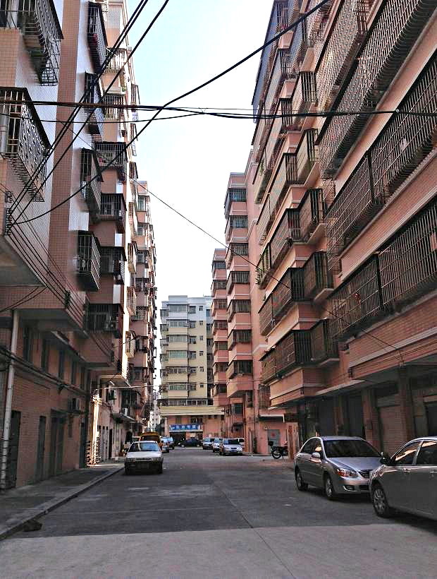 2013-11-29 2013-11-29 084.JPG