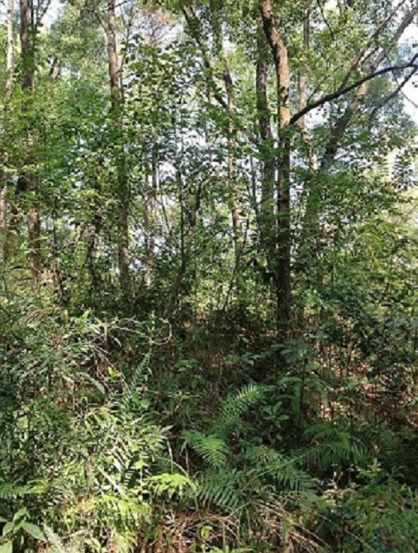 2013-11-29 2013-11-29 048.JPG