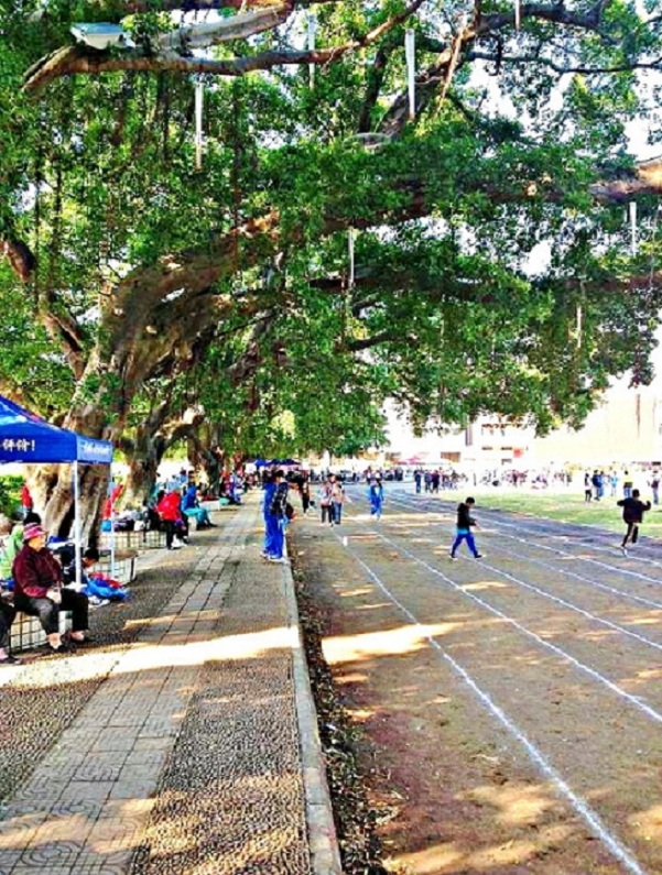 2013-11-29 2013-11-29 150.JPG