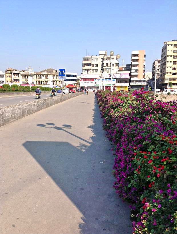 2013-11-29 2013-11-29 139.JPG