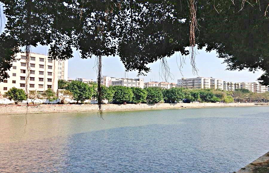 2013-11-29 2013-11-29 087.JPG