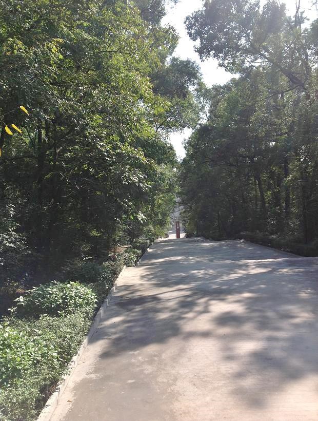 2013-11-29 2013-11-29 061.JPG