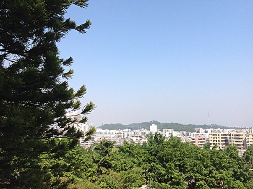 2013-11-30 ɽ 012.JPG