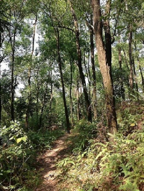 2013-11-29 2013-11-29 047.JPG