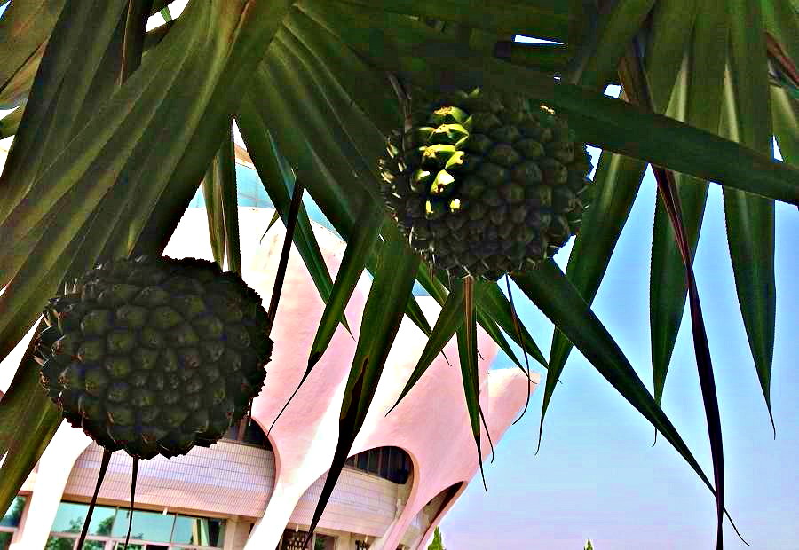 2013-11-30 ɽ 006.JPG