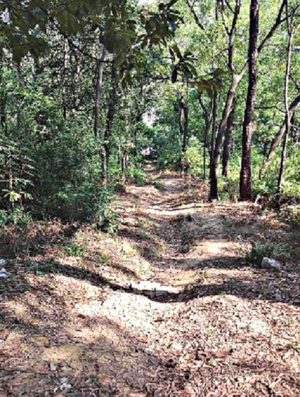 2013-11-29 2013-11-29 022.JPG