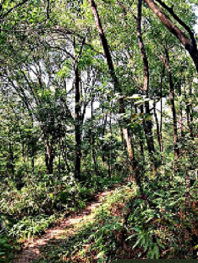 2013-11-29 2013-11-29 046.JPG