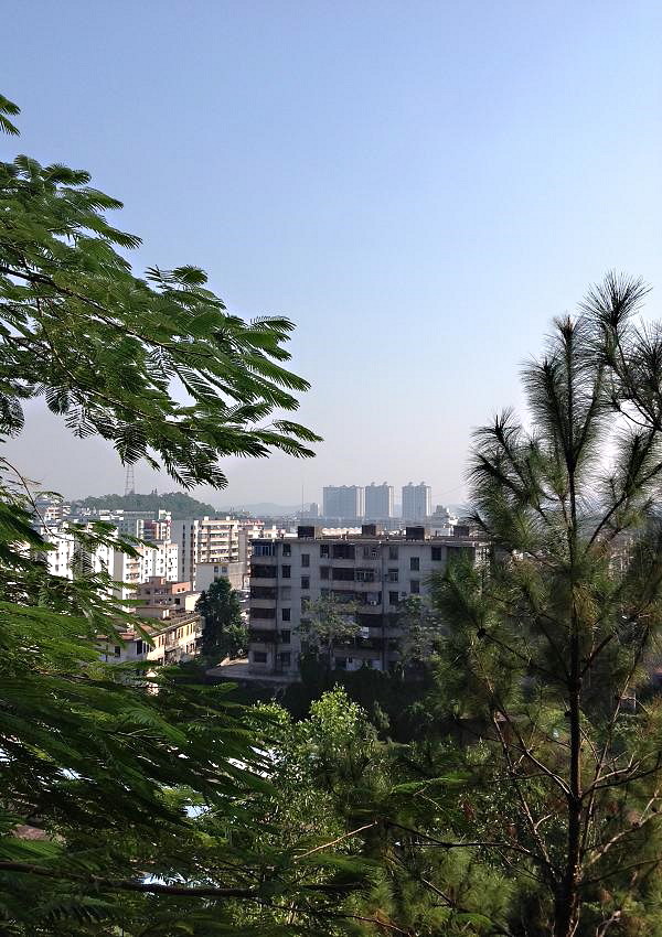 2013-11-30 ɽ 031.JPG