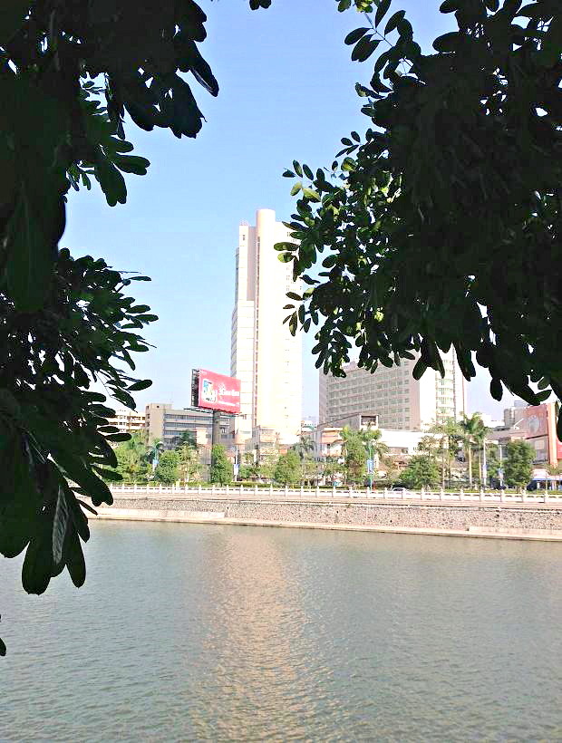 2013-11-29 2013-11-29 102.JPG