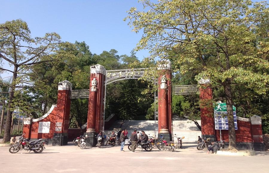 2013-11-29 2013-11-29 071.JPG